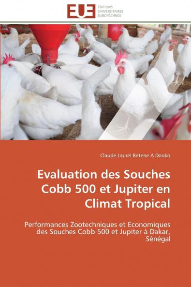 Evaluation des  souches cobb 500 et jupiter en climat tropical