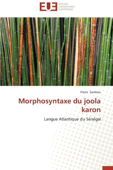 Morphosyntaxe du joola karon
