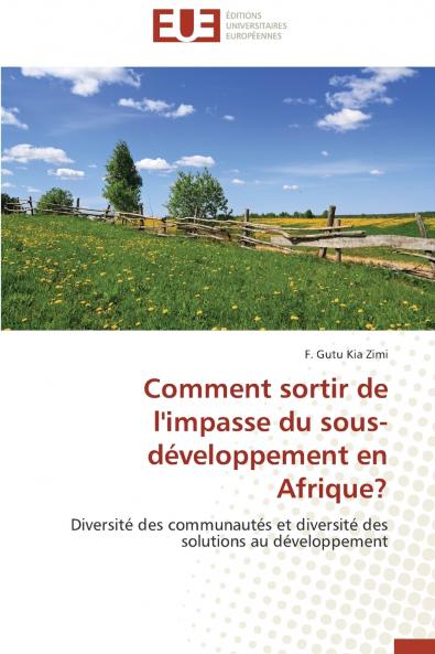 Comment sortir de l'impasse du sous-développement en afrique?