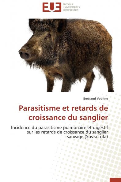 Parasitisme et retards de croissance du sanglier