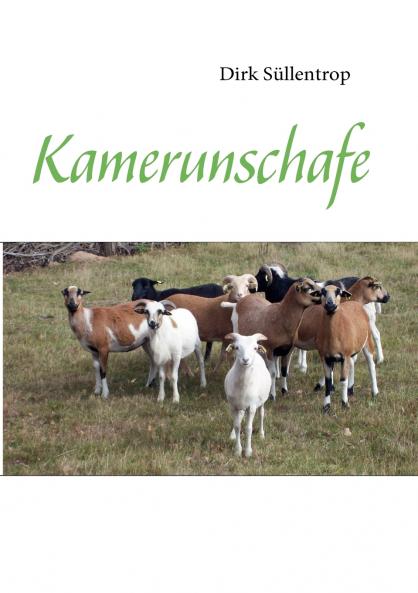 Kamerunschafe