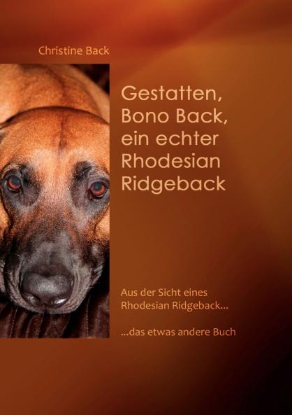 Gestatten Bono Back ein echter Rhodesian Ridgeback