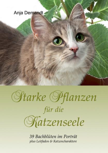 Starke Pflanzen für die Katzenseele