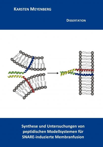 Synthese und Untersuchungen von peptidischen Modellsystemen für SNARE-induzierte Membranfusion