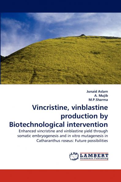 Vincristine Vinblastine Production by Biotechnological Intervention