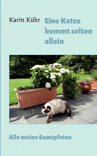 Eine Katze kommt selten allein