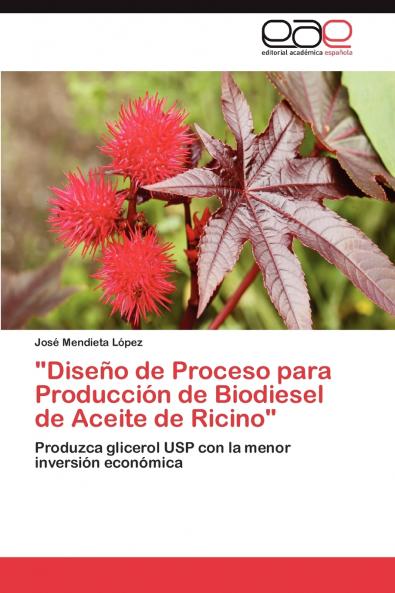 Diseño de Proceso para Producción de Biodiesel de Aceite de Ricino