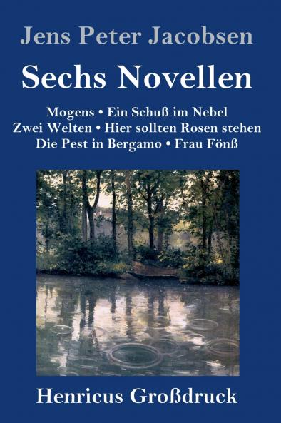 Sechs Novellen (Gro��druck)