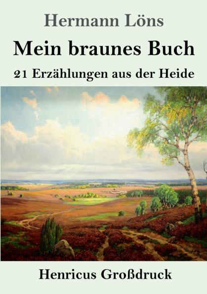 Mein braunes Buch (Großdruck)