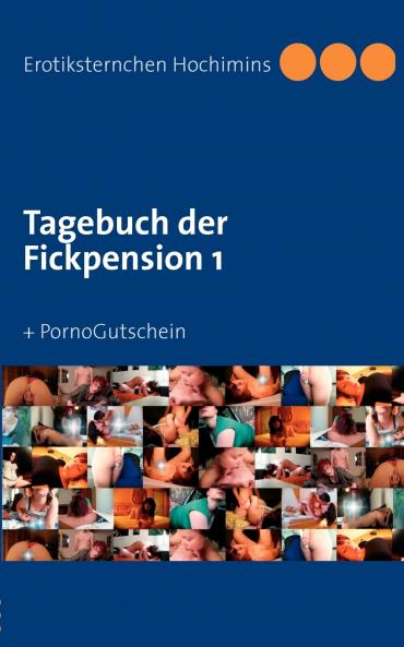 Tagebuch der Fickpension 1