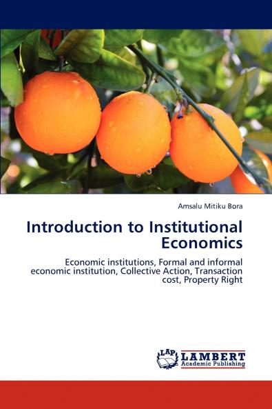Introduction to Institutional Economics