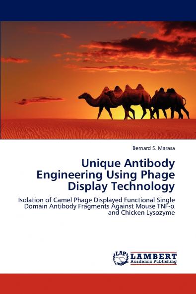 Unique Antibody Engineering Using Phage Display Technology