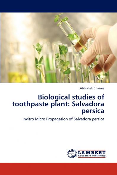 Biological studies of toothpaste plant
