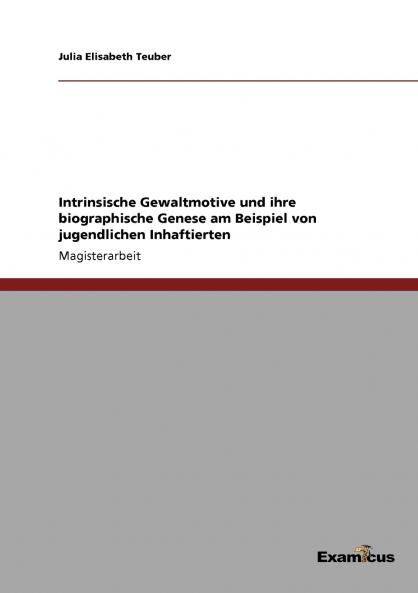 Intrinsische Gewaltmotive und ihre biographische Genese am Beispiel von jugendlichen Inhaftierten