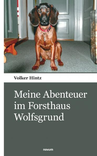 Meine Abenteuer im Forsthaus Wolfsgrund