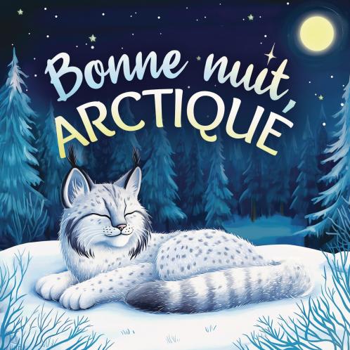 Bonne nuit Arctique