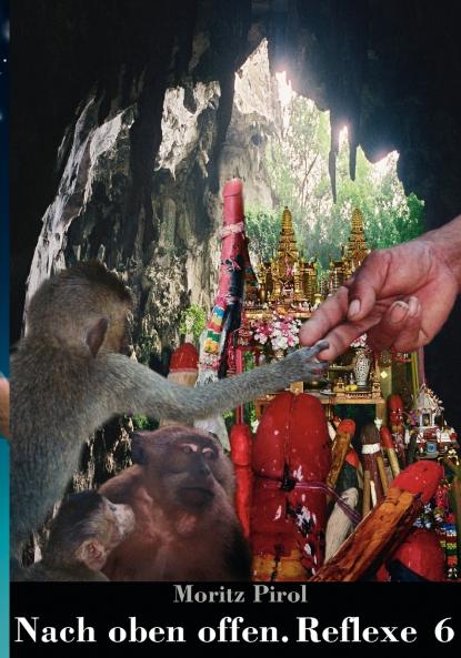 Nach oben offen. Reflexe  6