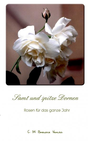 Samt und spitze Dornen