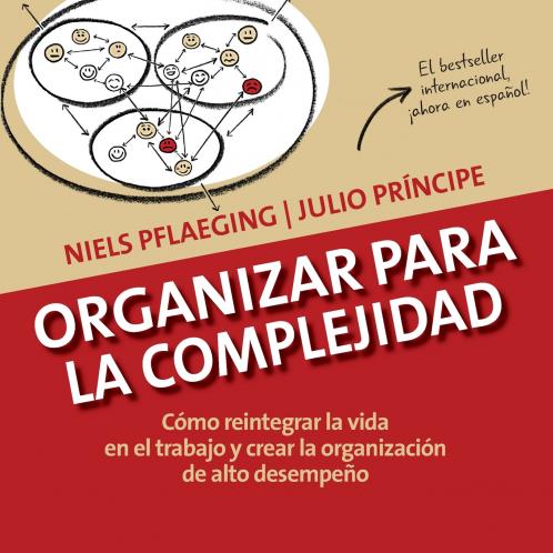 Organizar para la Complejidad