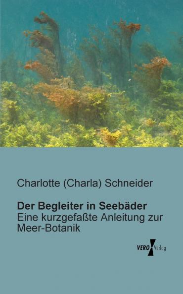Der Begleiter in Seebäder