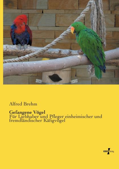 Gefangene Vögel