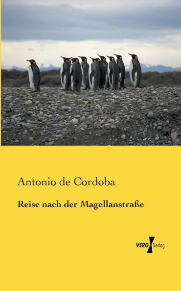 Reise nach der Magellanstraße