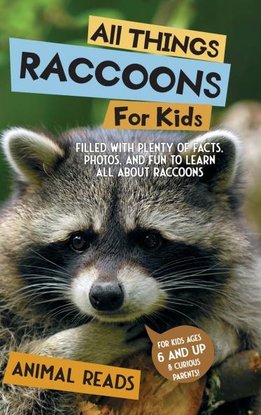 All Things Raccoons For Kids