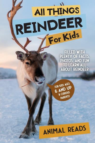 All Things Reindeer For Kids