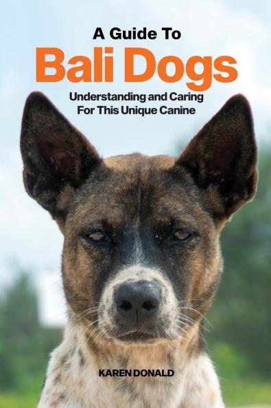 A Guide to Bali Dogs