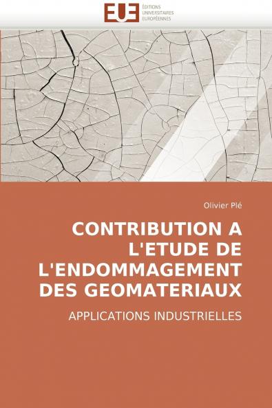Contribution a l''etude de l''endommagement des geomateriaux