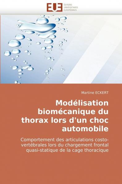 Modélisation biomécanique du thorax lors d'un choc automobile