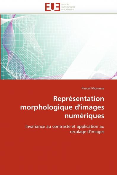 Représentation morphologique d'images numériques