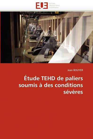 Étude tehd de paliers soumis à des conditions sévères