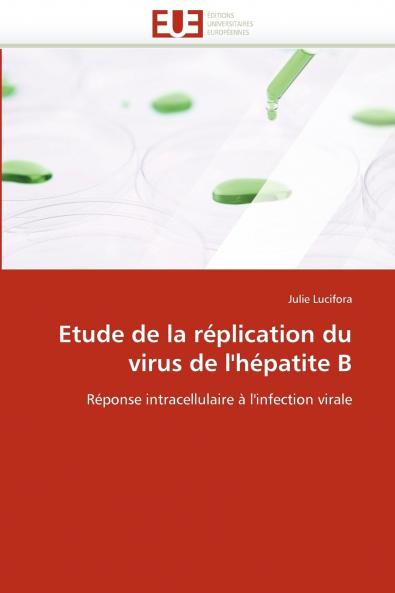 Etude de la réplication du virus de l'hépatite b