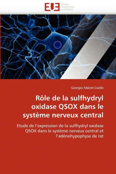 Rôle de la sulfhydryl oxidase qsox dans le système nerveux central