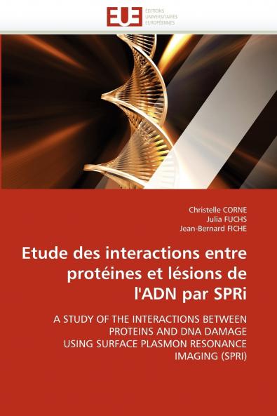 Etude des interactions entre protéines et lésions de l''adn par spri