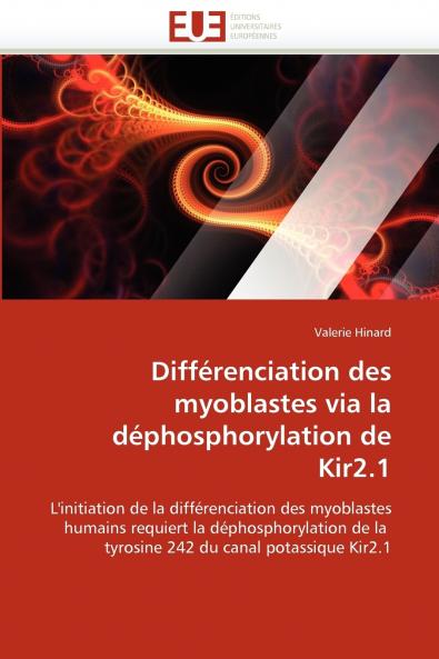 Différenciation des myoblastes via la déphosphorylation de kir2.1