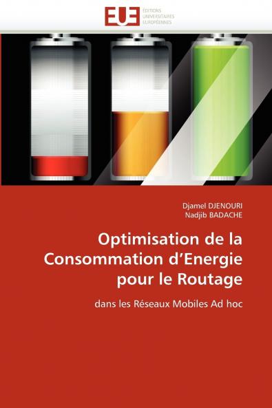 Optimisation de la consommation d energie pour le routage