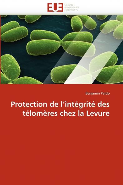 Protection de l''intégrité des télomères chez la levure