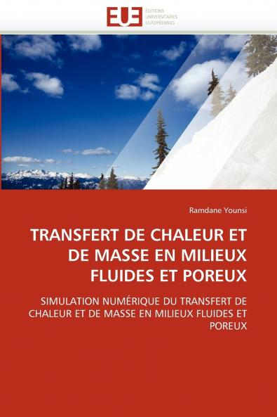 Transfert de chaleur et de masse en milieux fluides et poreux