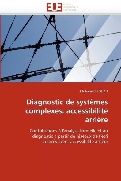 Diagnostic de systèmes complexes