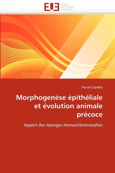 Morphogenèse épithéliale et évolution animale précoce