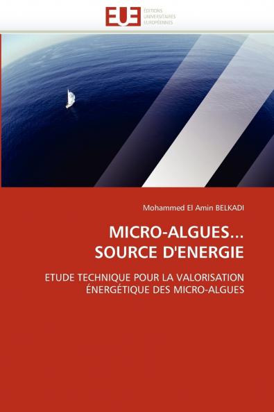Micro-algues... source d''energie