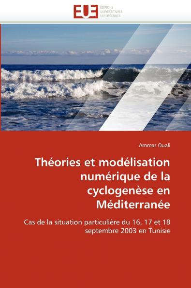 Théories et modélisation numérique de la cyclogenèse en méditerranée