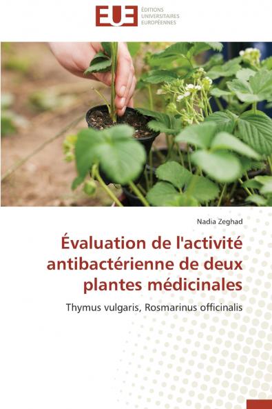 Évaluation de l'activité antibactérienne de deux plantes médicinales