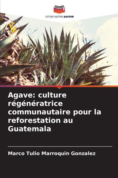 Agave