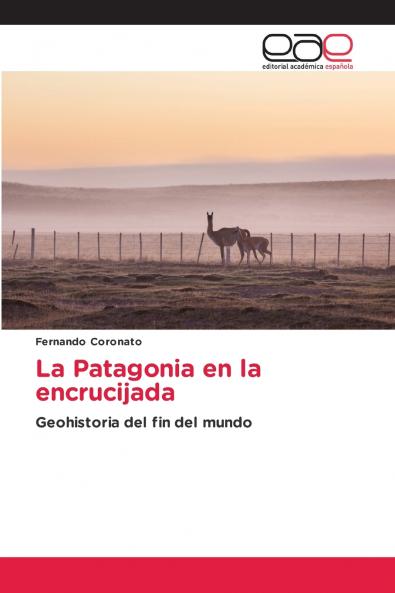 La Patagonia en la encrucijada