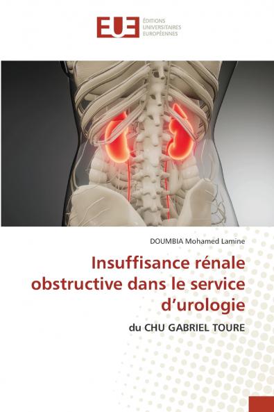 Insuffisance rénale obstructive dans le service d'urologie