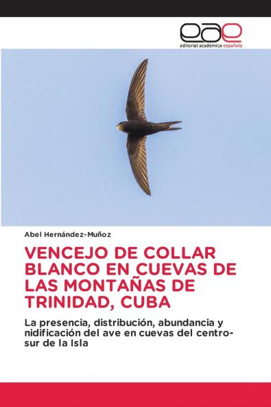 VENCEJO DE COLLAR BLANCO EN CUEVAS DE LAS MONTAÑAS DE TRINIDAD CUBA