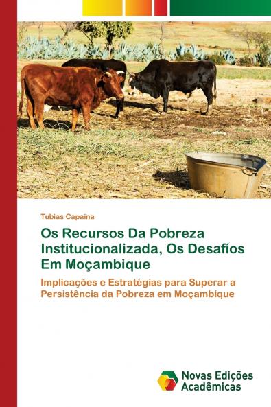 Os Recursos Da Pobreza Institucionalizada Os Desafíos Em Moçambique